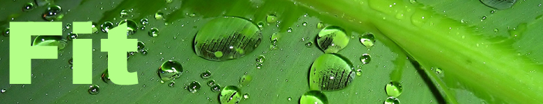 Fit Banner